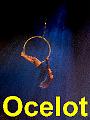 20140913 Theater Ocelot